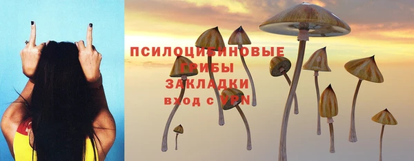 спиды Армянск