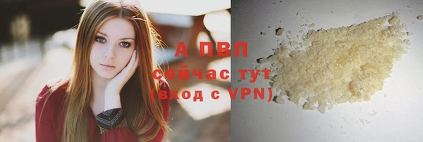 стафф Арсеньев
