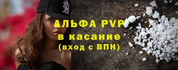 стафф Арсеньев