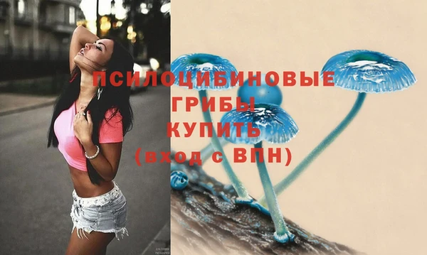 стафф Арсеньев
