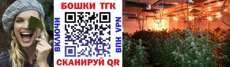 где можно купить наркотик  Новый Уренгой  мориарти состав  Бошки марихуана гибрид 
